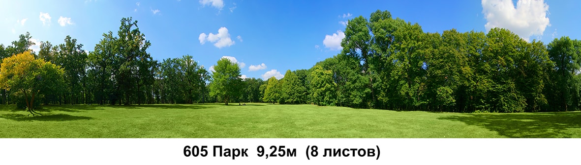 РN0004-min