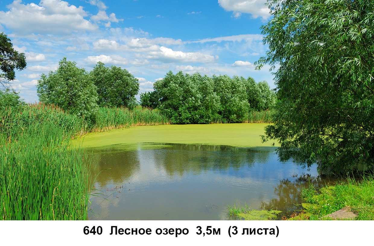 РN0035-min