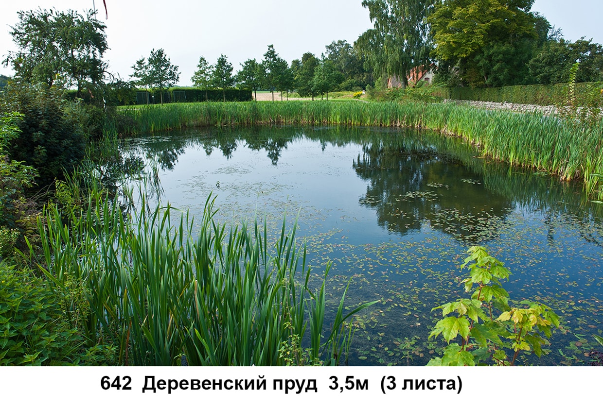 РN0037-min